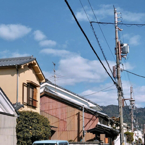 三级黄色做爱视频片
